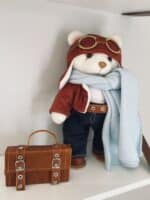 Aviador da Maleta - Imagem 2